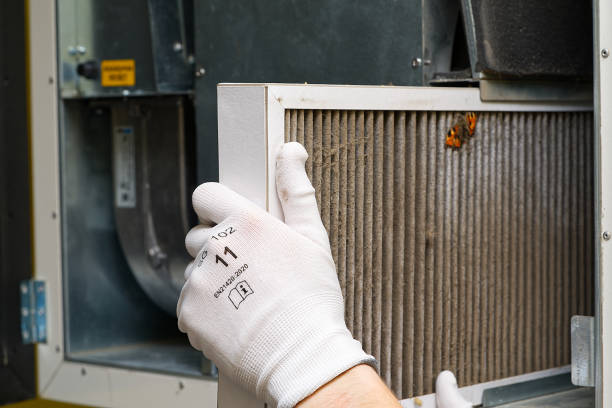 Best Ductwork Cleaning Services  in Lumberton, NC